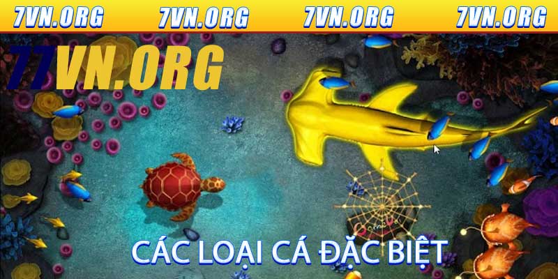 Các Loại Cá Đặc Biệt