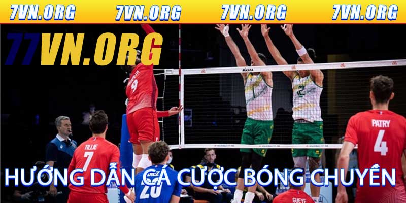 Hướng dẫn cá cược bóng chuyền hiệu quả cao cho tài khoản